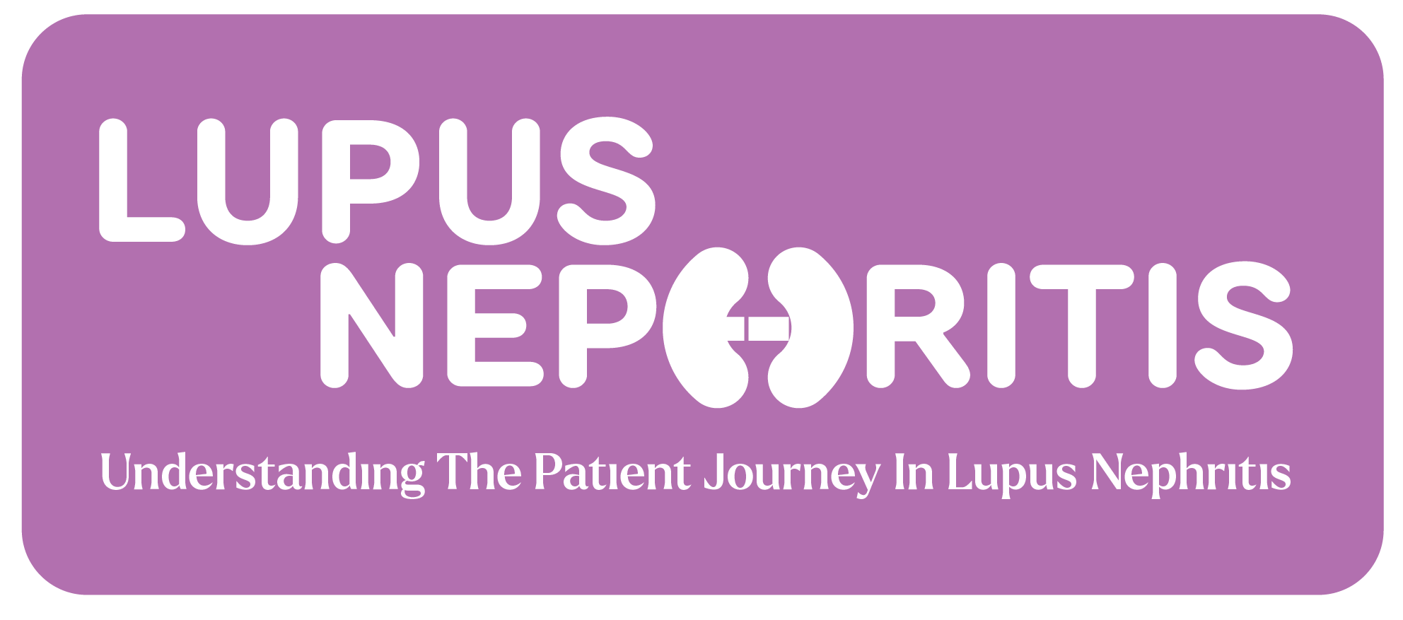 Understanding the patient journey in lupus nephritis